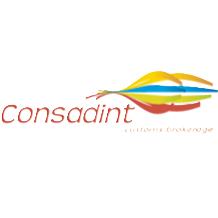 CONSADINT